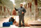 Farm Jobs in Canada With Visa Sponsorship: Salaries, Benefits & How to Apply